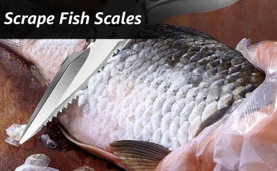 Sef7f2e2186164c69989a5c529e4af1adv