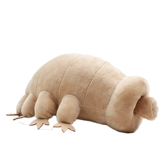 Zijaanzichtwaterbeer